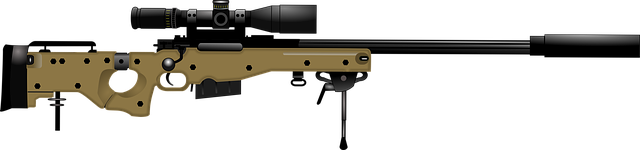 rifle